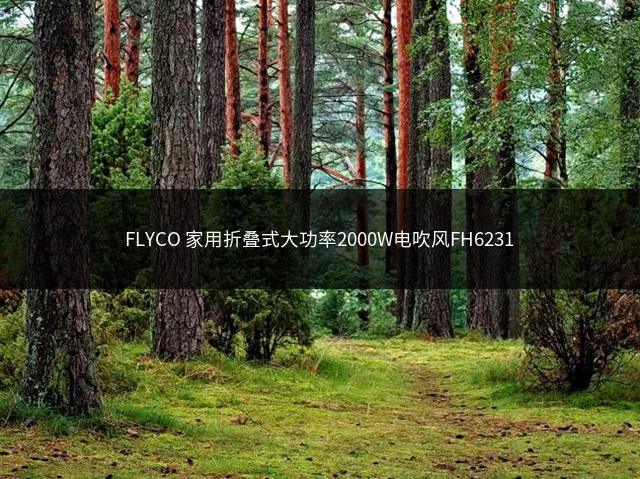 FLYCO 家用折叠式大功率2000W电吹风FH6231插图