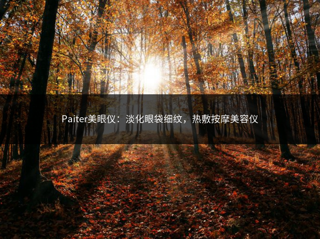 Paiter美眼仪：淡化眼袋细纹，热敷按摩美容仪插图