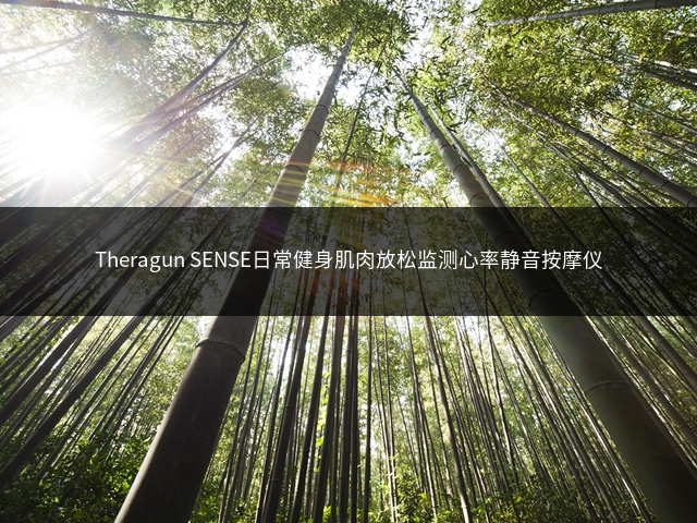 Theragun SENSE日常健身肌肉放松监测心率静音按摩仪插图