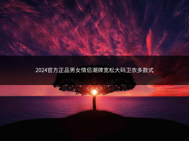 2024官方正品男女情侣潮牌宽松大码卫衣多款式插图