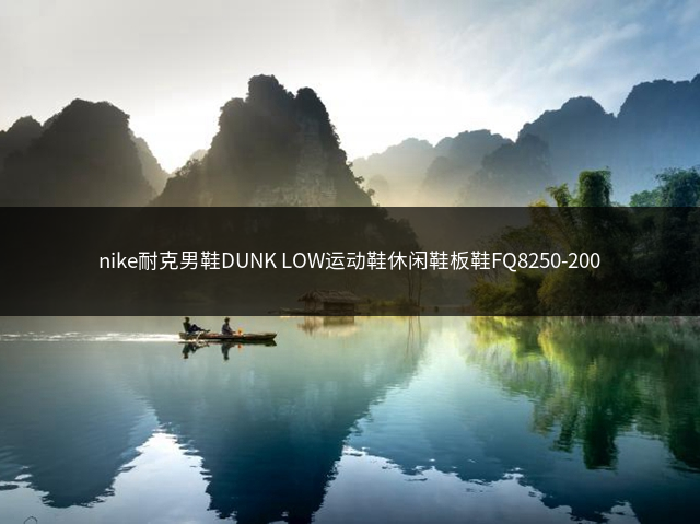 nike耐克男鞋DUNK LOW运动鞋休闲鞋板鞋FQ8250-200插图