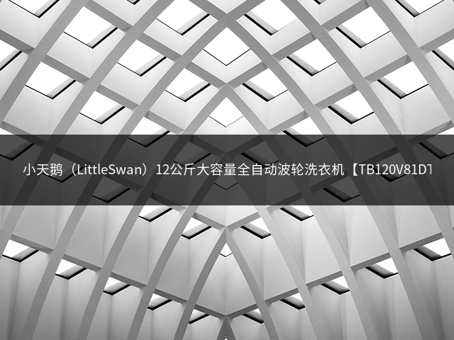 小天鹅（LittleSwan）12公斤大容量全自动波轮洗衣机【TB120V81DT】插图