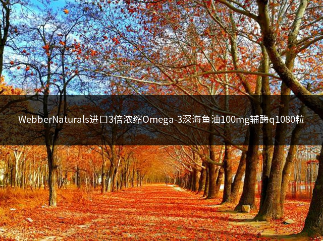 WebberNaturals进口3倍浓缩Omega-3深海鱼油100mg辅酶q1080粒插图