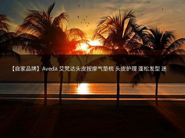 【自家品牌】Aveda 艾梵达头皮按摩气垫梳 头皮护理 蓬松发型 迷你梳子插图