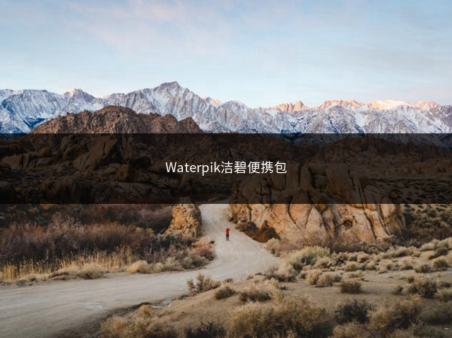 Waterpik洁碧便携包插图