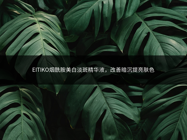 EITIKO烟酰胺美白淡斑精华液，改善暗沉提亮肤色插图