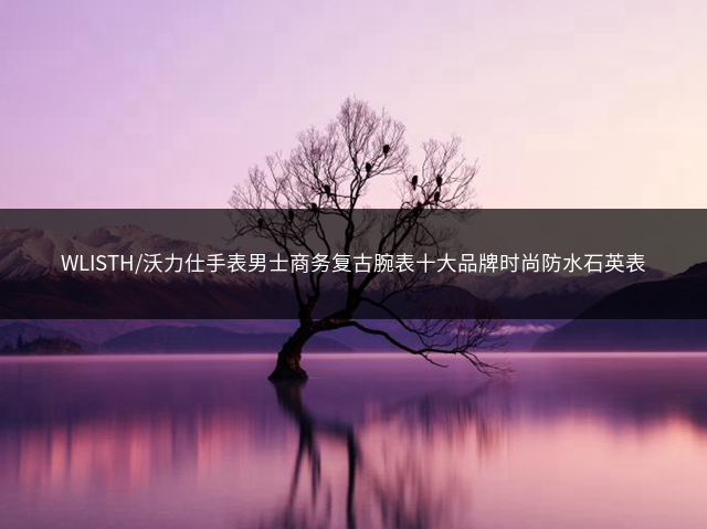 WLISTH/沃力仕手表男士商务复古腕表十大品牌时尚防水石英表插图