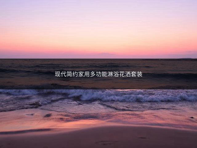 现代简约家用多功能淋浴花洒套装插图