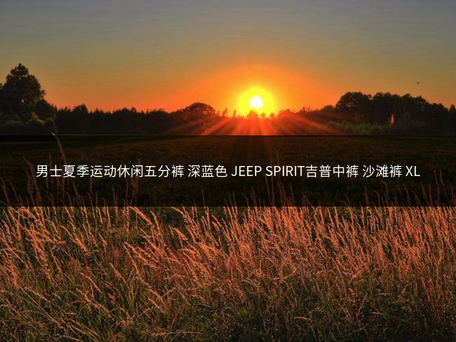 男士夏季运动休闲五分裤 深蓝色 JEEP SPIRIT吉普中裤 沙滩裤 XL插图