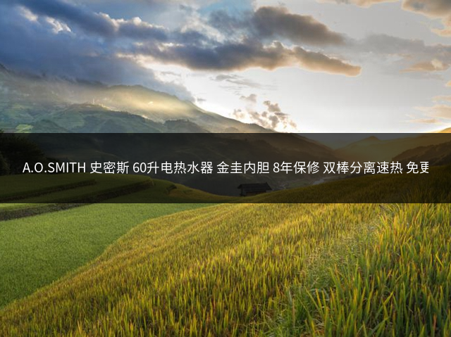 A.O.SMITH 史密斯 60升电热水器 金圭内胆 8年保修 双棒分离速热 免更换镁棒 CTE-60JC1插图