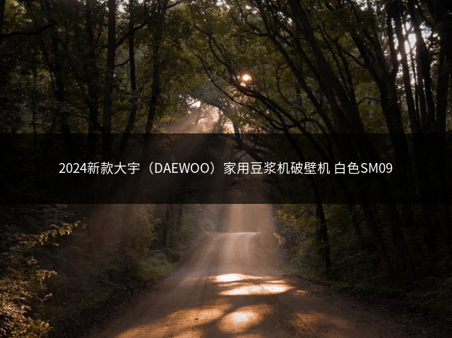 2024新款大宇（DAEWOO）家用豆浆机破壁机 白色SM09插图