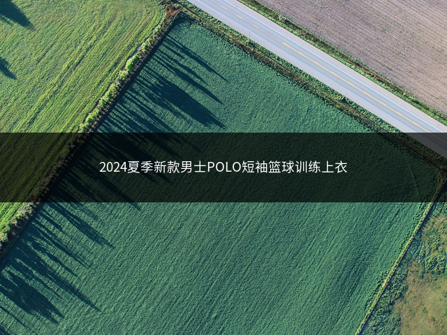 2024夏季新款男士POLO短袖篮球训练上衣插图