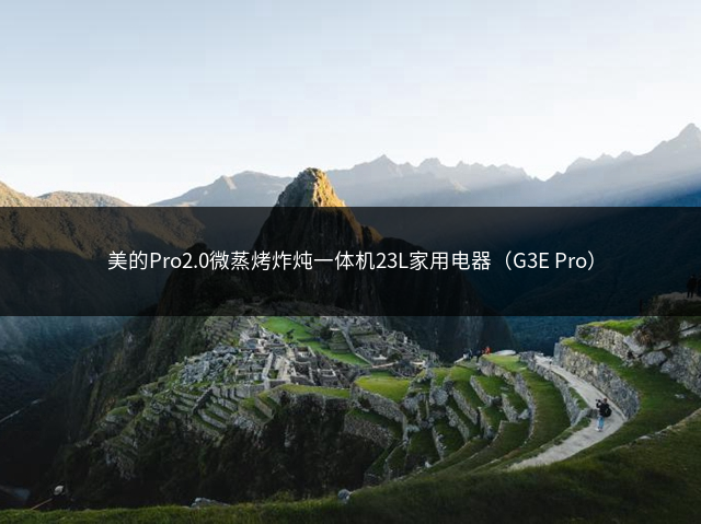 美的Pro2.0微蒸烤炸炖一体机23L家用电器（G3E Pro）插图