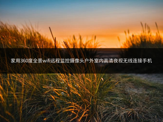 家用360度全景wifi远程监控摄像头户外室内高清夜视无线连接手机插图