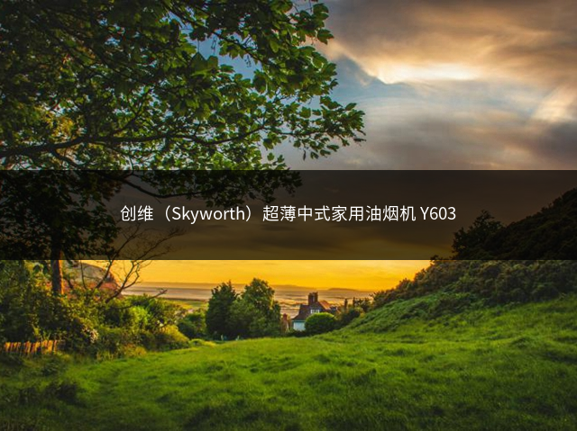 创维（Skyworth）超薄中式家用油烟机 Y603插图