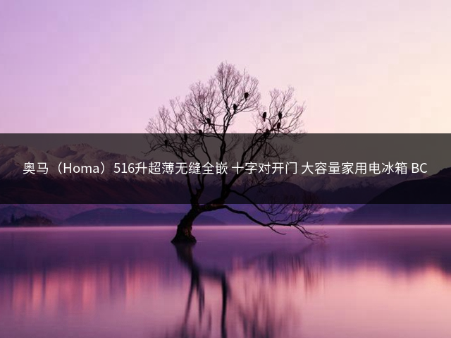 奥马（Homa）516升超薄无缝全嵌 十字对开门 大容量家用电冰箱 BCD-516WDG/B(X) 矿玉岩插图